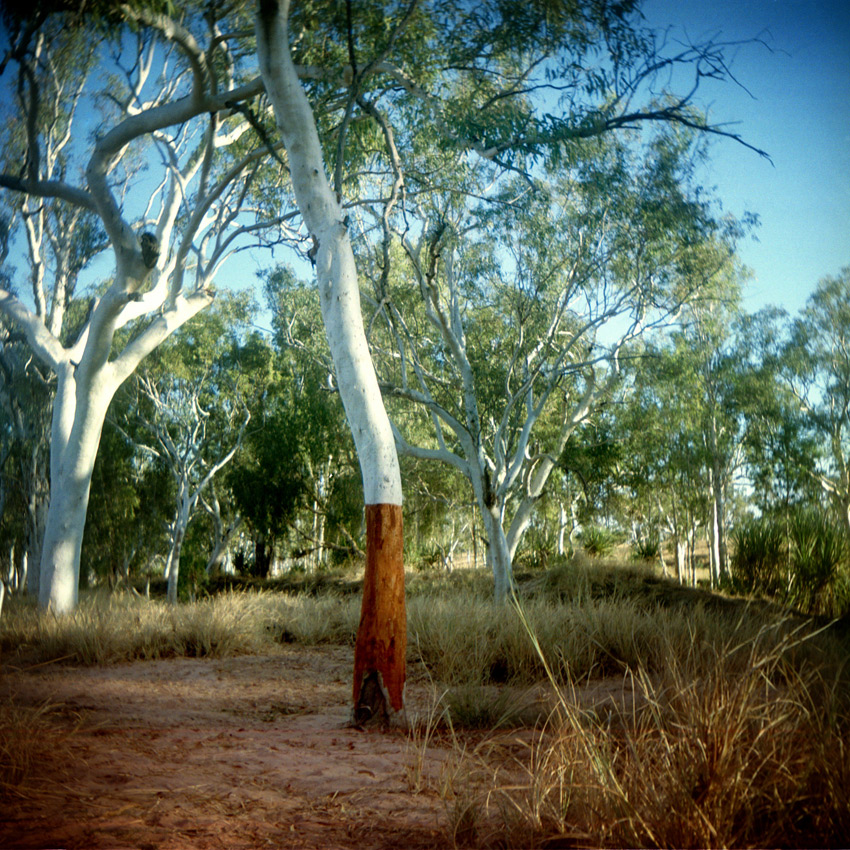 Gibb River Road, Kimberley