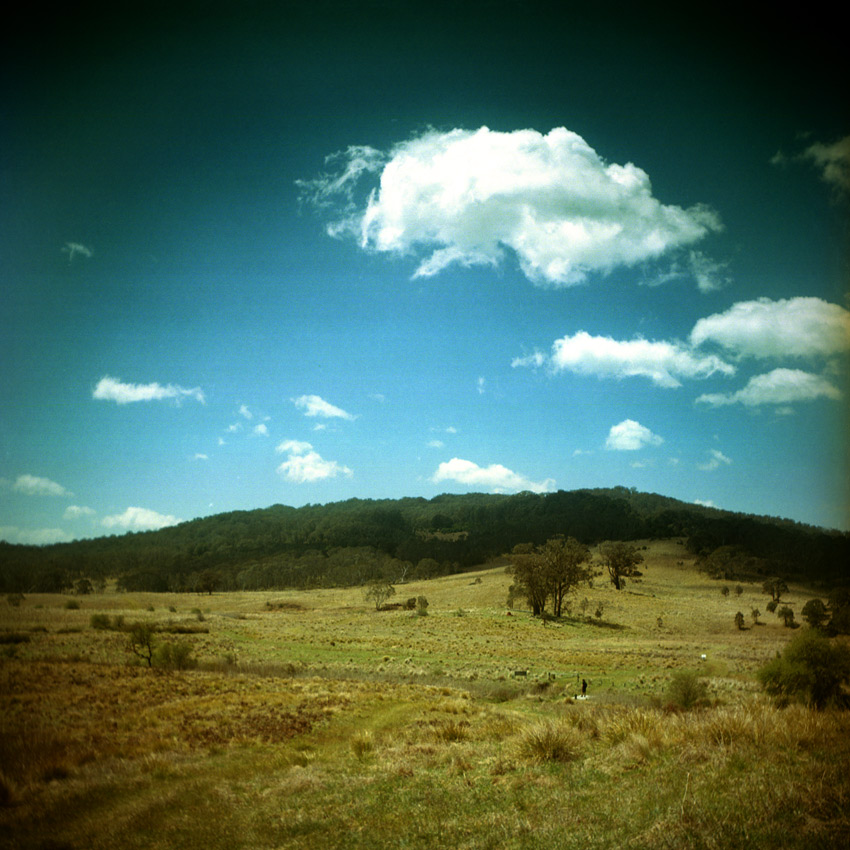 Werrikimbe Nationalpark, New South Wales