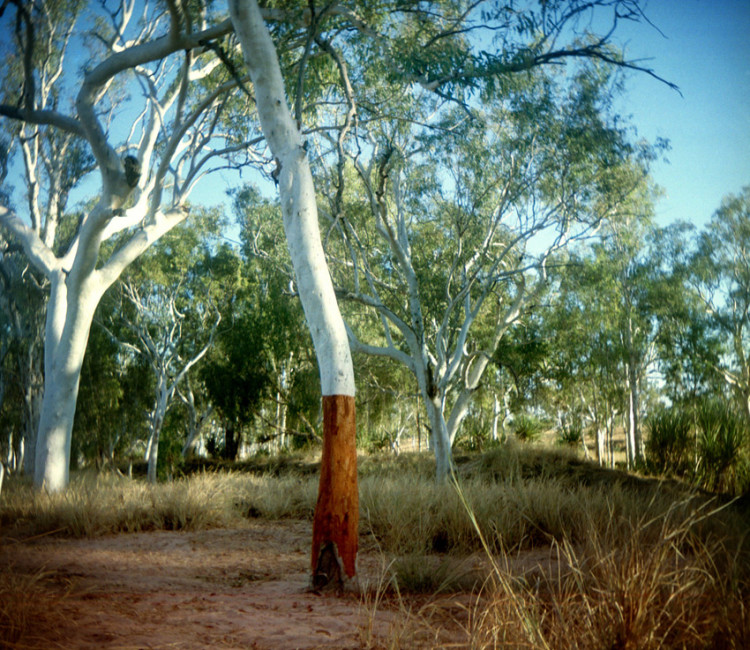 Gibb River Road, Kimberley