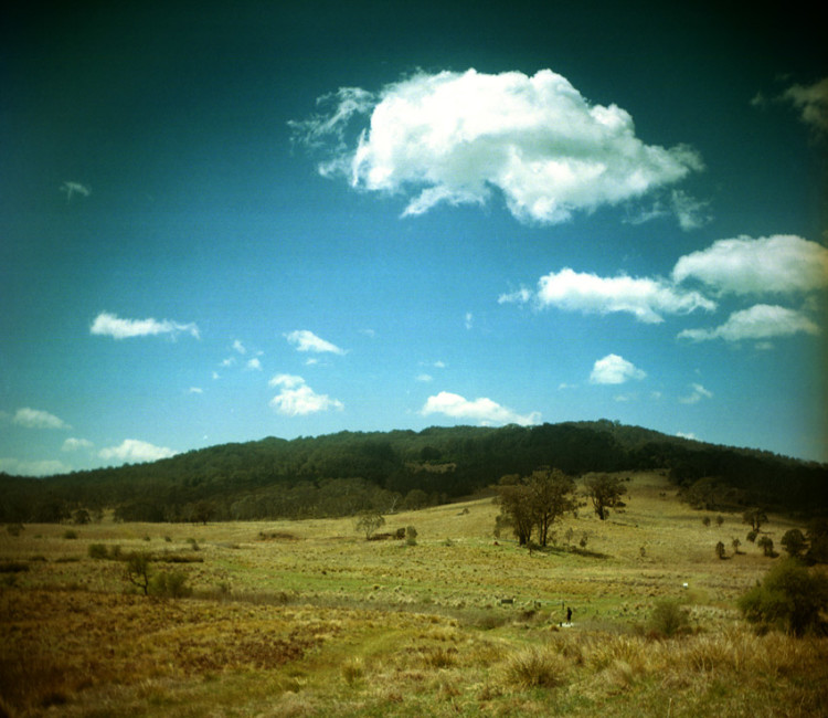 Werrikimbe Nationalpark, New South Wales