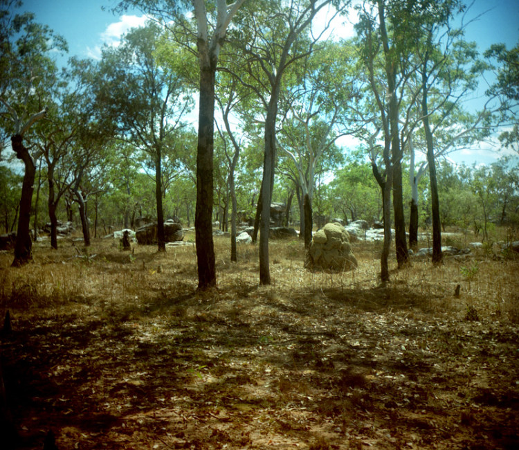 Somewhere betweeen Drysdale River Roadhouse and on the Kalamburu Road.